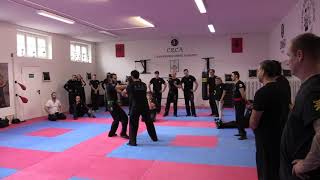 Wing Chun CRCA Combat Techniques 20
