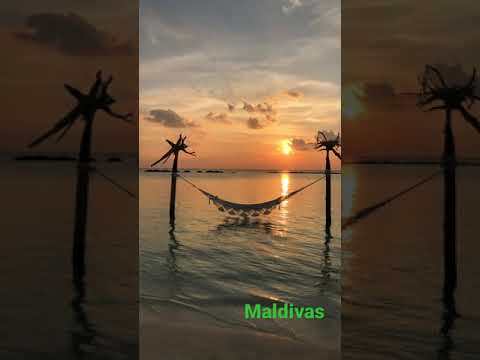 Maldivas o paraíso #shorts #short #maldivas #ferias #viagem