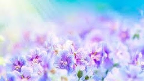 من أخشع التلاوة المريحة بصوت القارئ أحمد العبيد