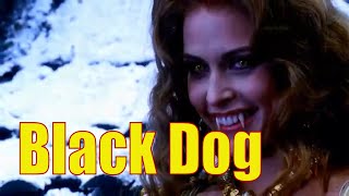 DIO - Black Dog @DionisiusEndy
