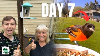 I Gave My Friend a Smart Bird Feeder For Mother's Day! Here's What Happened...