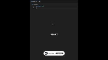 Enums in Go Explained in 25 Seconds 🤔