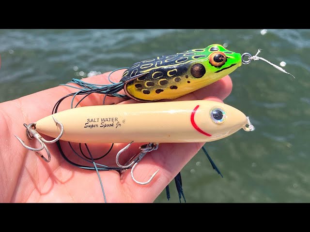 Fishing TOPWATER Frogs in Saltwater with Christian Greico 