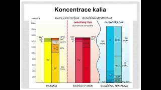 Preanalytické vlivy na hladinu kália v séru plazmě