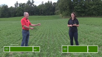 Ontario Virtual Diagnostic Days Episode 5 - Growth Staging and Crop Management Decisions