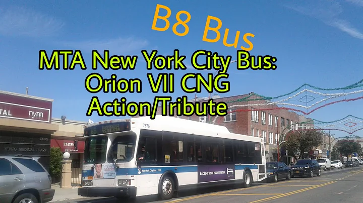 MTA New York City Bus: Orion VII 1st Generation CNG Tribute