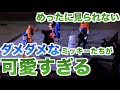 いつも完璧なミッキーたちの完璧じゃない様子が可愛すぎる【ディズニー】