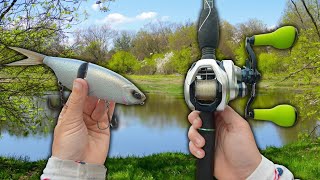 Fishing A TROPHY Bass Pond With A MASSIVE Swimbait -- Big Bites