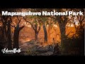 In Search Of Africa’s Giants | Mapungubwe National Park | Limpopo Episode 2