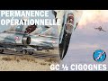 Dcs  les mirages 2000c du  cigognes sont de sortie sur persian gulf 