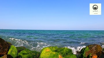 حالات واتس || والنجم إذا هوى تلاوة رائعة الشيخ محمود الشحات