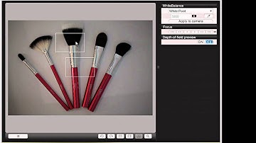 Precise focus adjustments using canon live view remote shooting