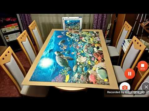 KBS1 연령고지 7세 리메이크 2016 18년 NEW