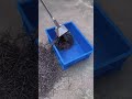 magnetic iron loader #trending #viral #ytshorts #yt #science #experiment #shots #viralvideo #shorts