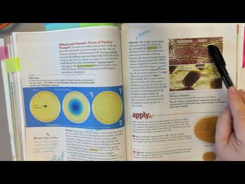 CELL MEMBRANE PAGES 194 1990023