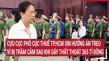 Gây thất thoát 365 tỉ, Cựu cục phó Cục Thuế TP.HCM xin hưởng án treo vì bị trầm cảm