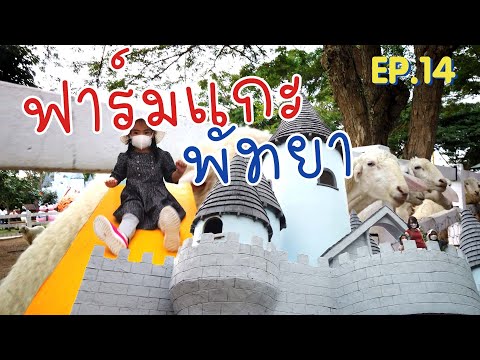 ฟาร์มแกะพัทยา PATTAYA Sheep Farm | BOONBOON โกวGO [EP.14]