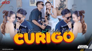 Download Lagu Dini Kurnia Ft. Mufly Key - Curigo (Official Music Live) Lagu Osing Banyuwangi Terbaru 2025 MP3 Download Lagu Dini Kurnia Ft. Mufly Key - Curigo (Official Music Live) Lagu Osing Banyuwangi Terbaru 2025 MP3