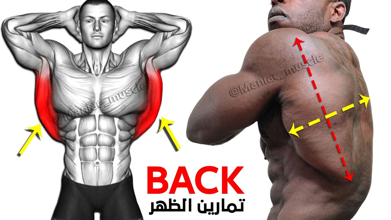 These are the 10 Biggest Back Exercises You Need to Know - YouTube
