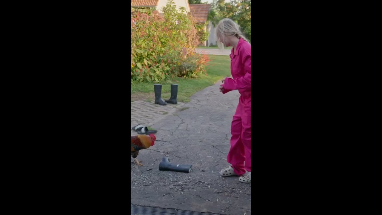 Leslie wordt aangevallen door een haan 🏃‍♀️🐓 #HakkenOverDeSloot