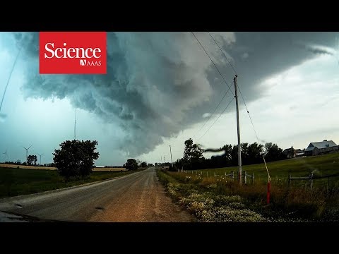 Thunderstorm-triggered asthma attacks put under the microscope in Australia