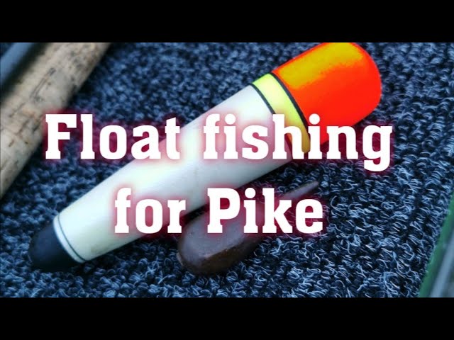 For beginners, Float fishing for Pike 