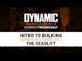 Dynamic Supplements: Workout Wednesday - Intro To Bulking 2 - The Deadlift