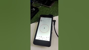 mic 3App zello ts3 true