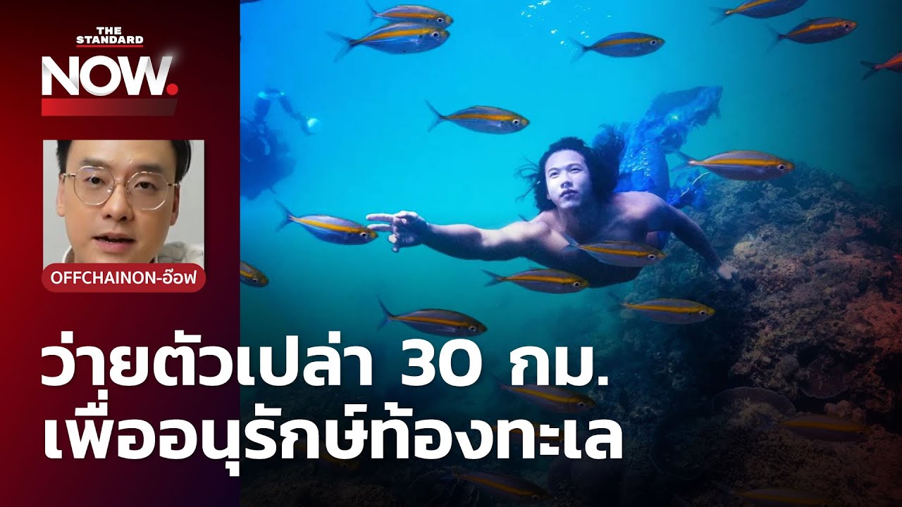 ‘ทราย สก็อต’ ชายผู้ว่ายน้ำ 30 กม. อุทิศตนเพื่ออนุรักษ์ท้องทะเล