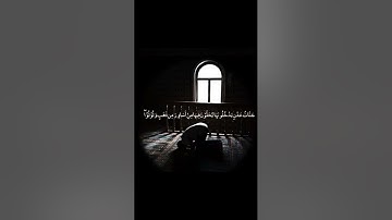 تلاوة هادئة من سورة فاطر - محمد مباركي