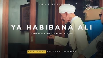 Ya Habibana Ali x Ya Robbi ya Alimal Hal | video Haul Solo 2024 | Lirik terjemah | tareem lovers
