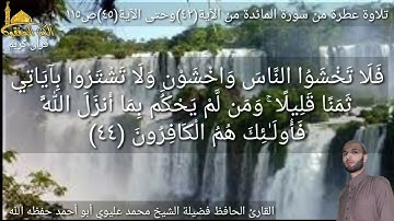 @يتلوعلينا القارئ الحافظ فضيلة الشيخ محمد عليوي ماتيسر من سورة المائدة من الآية(٤٢)حتى الآية(٤٥)ص١١٥