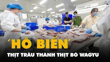 Cận cảnh quy trình 