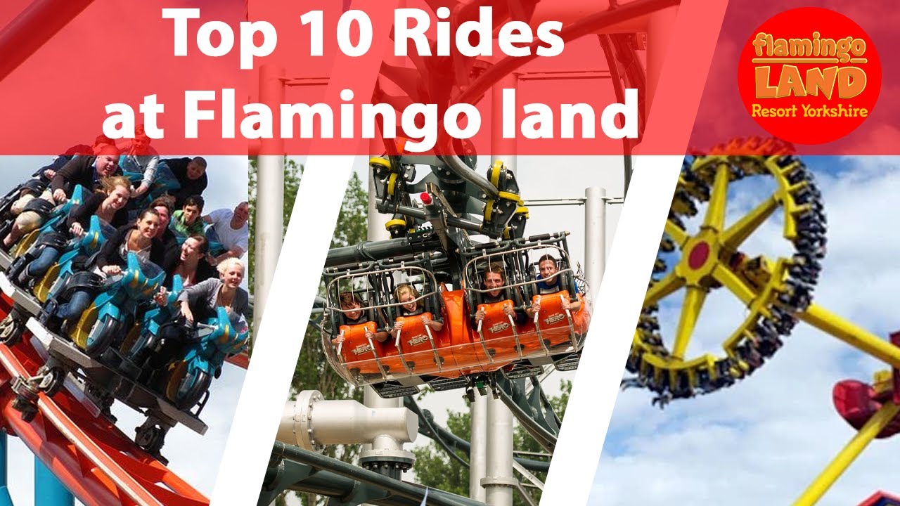 Top 10 Rides At Flamingo Land Resort | 2021