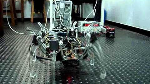 FEI - Hexapod Walking Robot