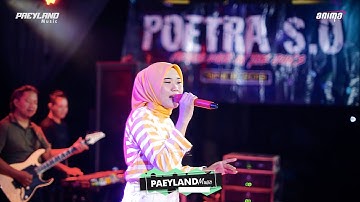 PAEYLAND MUSIC - CAMELIA - RIZA PALUPI - WEDDING DEDI & DINA - TENGGULI