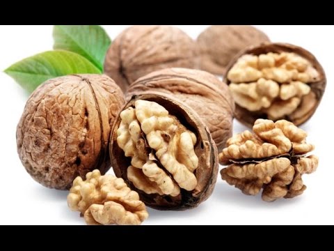 Nuez de macadamia paraguay Nuez de macadamia paraguay