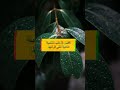 ثلاث كتب للتنمية الذاتية أنصحكم بقراءتها 