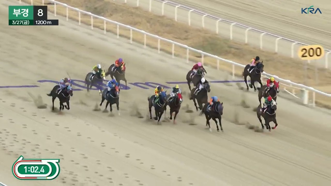 서승운 기수,말 복이 많네,좋은 말 많이 탄다.