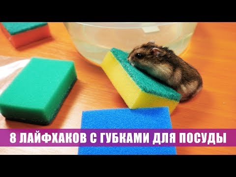 Необычные идеи применения обычной посудной губки