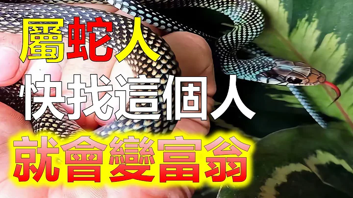 2024生肖运势，十二生肖，生肖蛇的贵人生肖主要包括三个，分别是生肖牛、生肖鸡和生肖猪。这三个生肖在与生肖蛇的相处中，能够产生良好的互动和影响，为蛇年人带来好运。生肖牛是生肖蛇的第一大贵人（生肖蛇） - 天天要闻