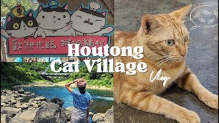 Cat Village 40 minutes from Taipei You Should Visit | Taiwan Travel Vlog 2023