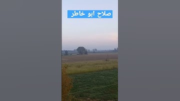 سورة المعارج الشيخ صلاح بو خاطر تلاوة خاشعة