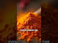 The Saffron War: Persia’s Forgotten Spice Conflict
