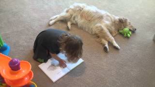 Toddler 'Reads' to Her Golden Retriever by TuBob Shakur 5,746 views 9 years ago 3 minutes