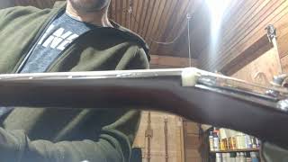 Alvarez Regent Guitar Upgrades: Saddle, nut, and neck relief