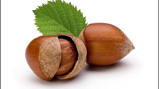 January 9th: Honeybush Hazelnut by Adagio Teas