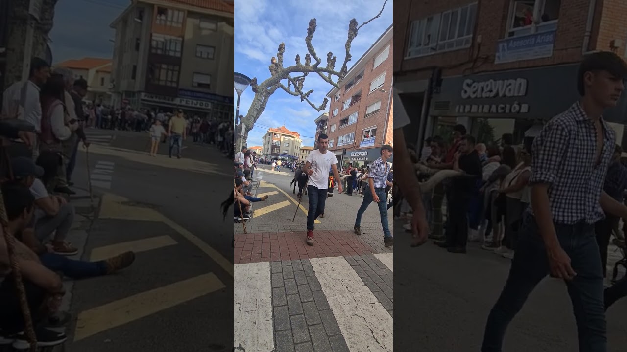 Cantabria la olimpiada del tudanco