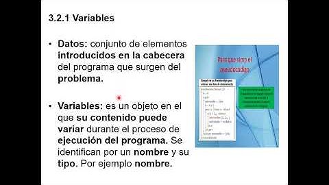 La ventana de código, Variables, tipos de datos, constantes. Programación II. Unidad III.