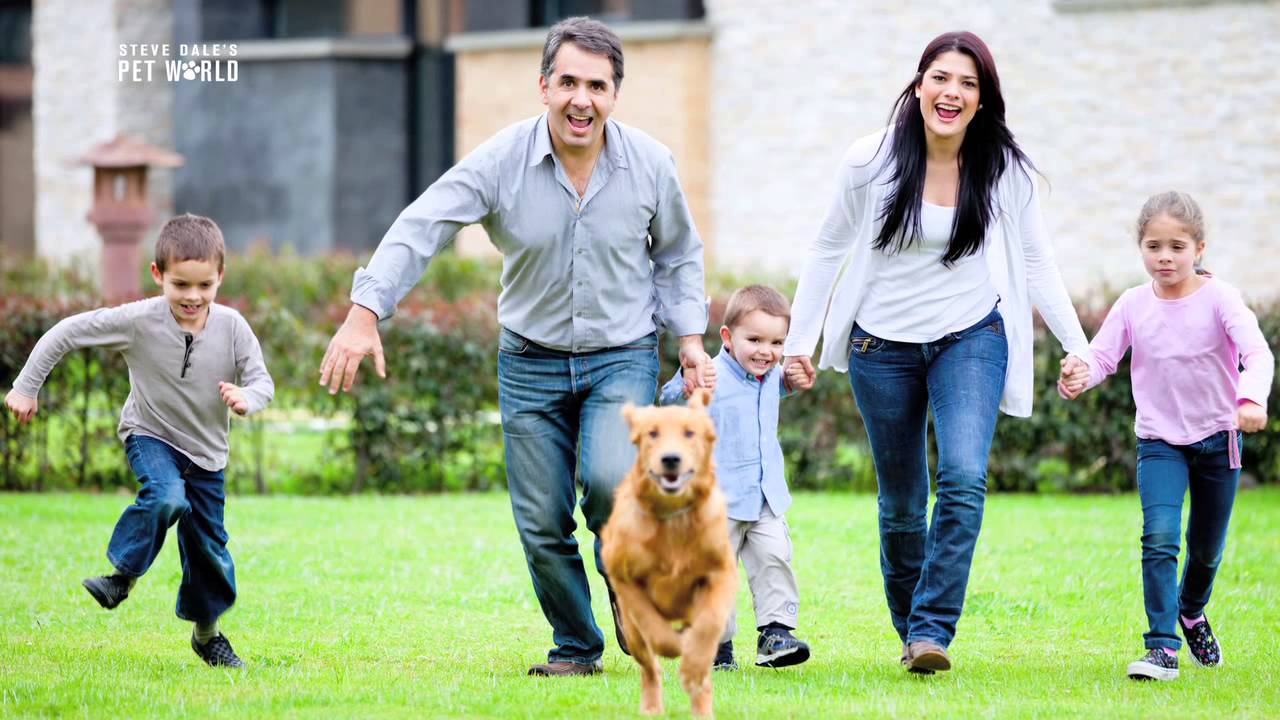 active posture Steve Dale: Keep Your Dogs Active this Fall